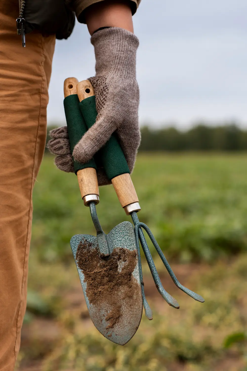 Mejora de cultivos agrícolas en la Rioja