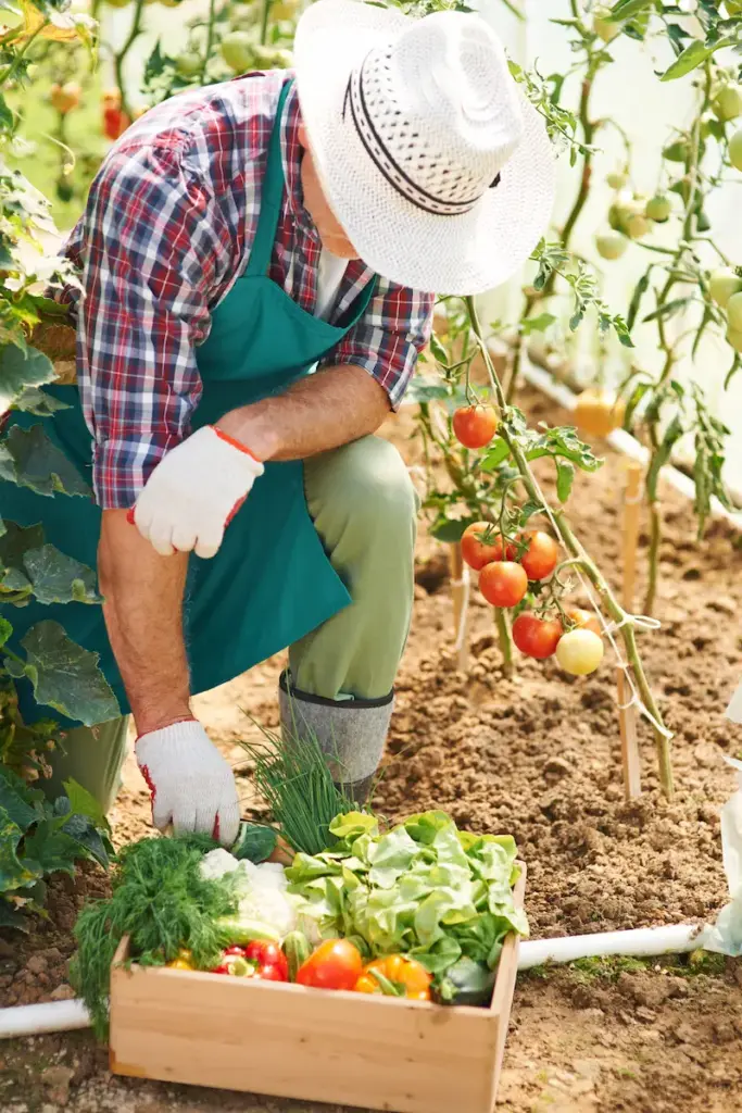 productos para cultivos, fertilizantes, abonos, fitosanitarios